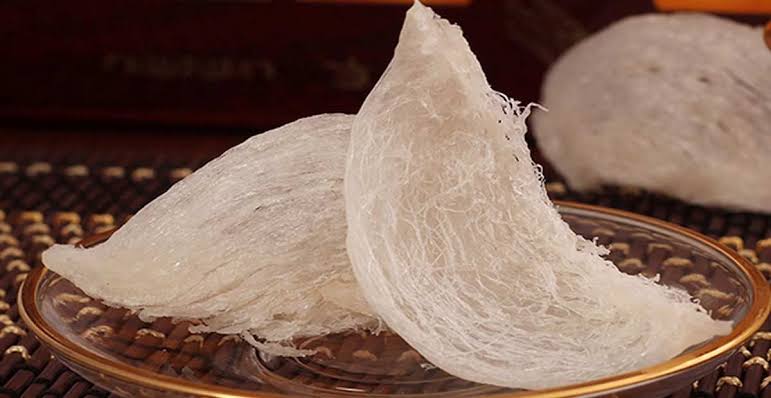 Bisnis Sarang Burung Walet